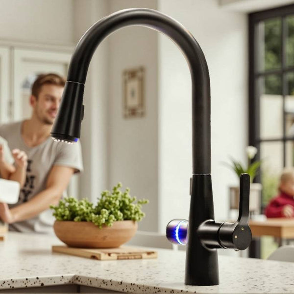 Why our 4N1 faucet is the best faucet in the market?