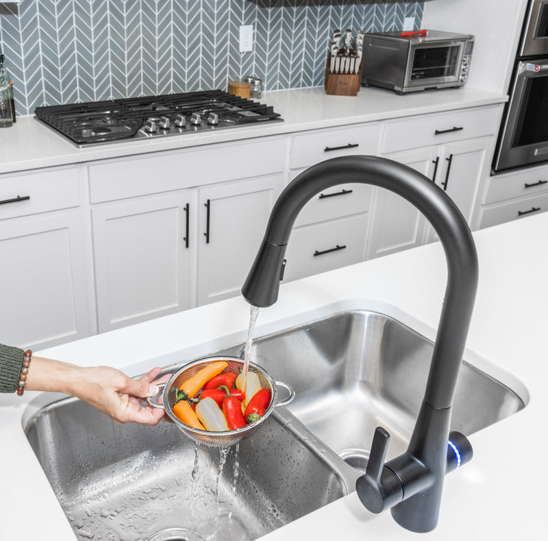 CLEAN VEGGIES WITH INSTANT PURIFIED WATER